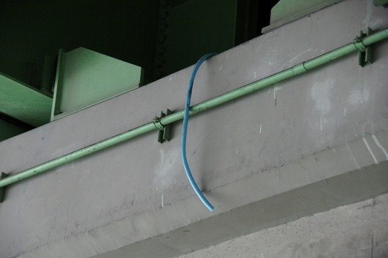 トイプードル銀座リリーとas know as de wan18