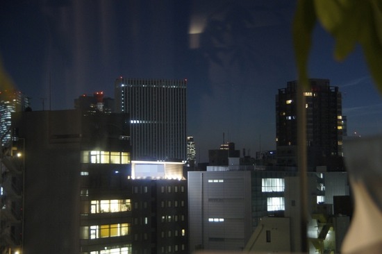 銀座トイプードルリリーas know as de wan07