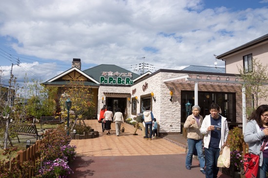 421 銀座ブラックのトイプードルリリーとドナas know as de wan15