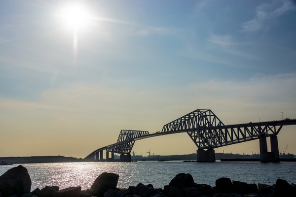 トイプードル銀座リリー004