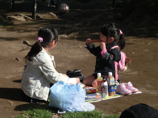 as know as de wan トイプードル 銀座リリー24