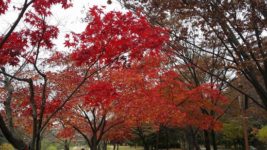 1454568_378226752310707_1837214509_n