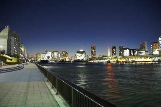 銀座 トイプードル リリー as know as de wan46