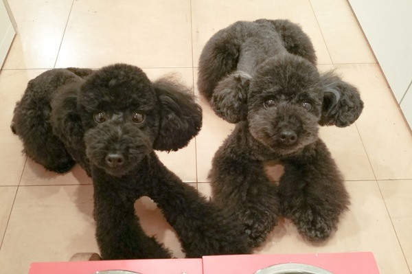 2015091420150910_184054