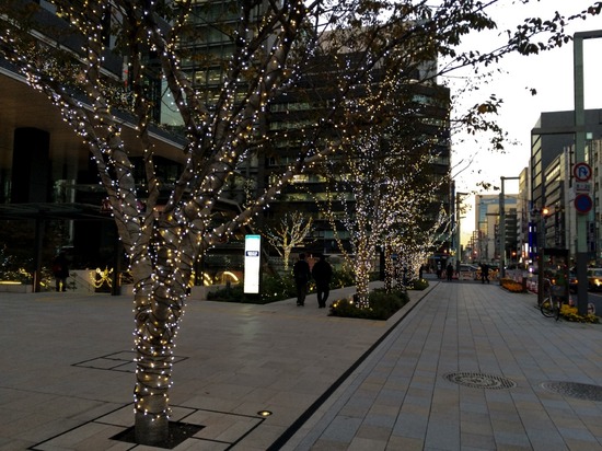 トイプードル ブログ 銀座リリー ドナ as know as de wan20