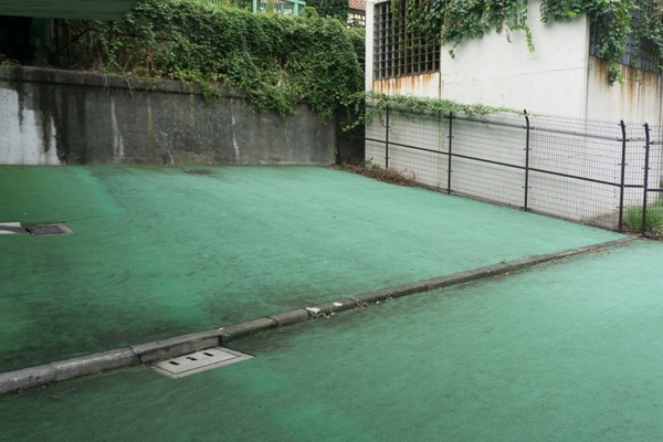 トイプードル銀座リリー10