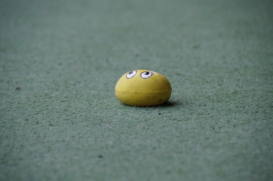 as know as de wan トイプードル 銀座リリー04