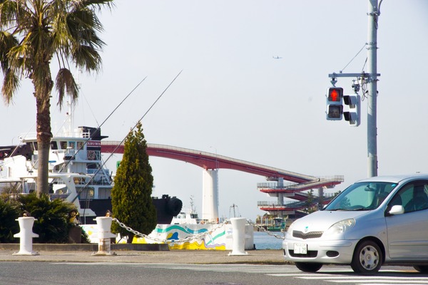 トイプードル銀座リリー026