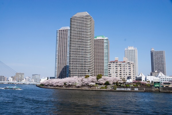 ブラックトイプードル銀座リリードナ028