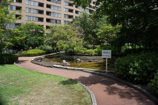 ニャンバーワン,銀座トイプードル,リリーとドナ,asknowasdewan034