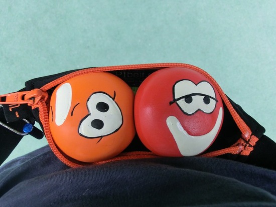 as know as de wan_銀座リリー_トイプードル16