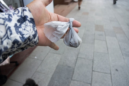 ニャンバーワン,銀座トイプードル,リリーとドナ,asknowasdewan022