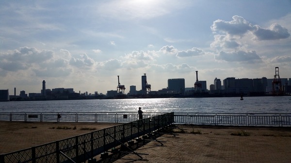 20150924トイプードル銀座リリー14