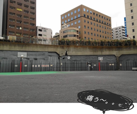 as know as de wan トイプードル 銀座リリー29