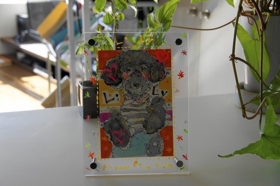 as know as de wan トイプードル 銀座リリー08