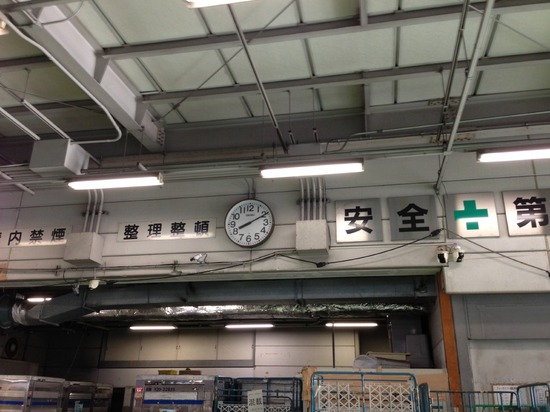 銀座トイプードルリリーas know as de wan01