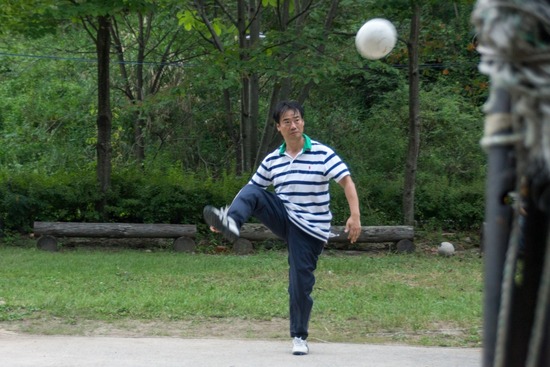 ブログRosieトイプードル銀座リリーとドナas know as de wan27