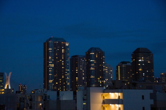 銀座トイプードル,リリーとドナ,as know as de wan002