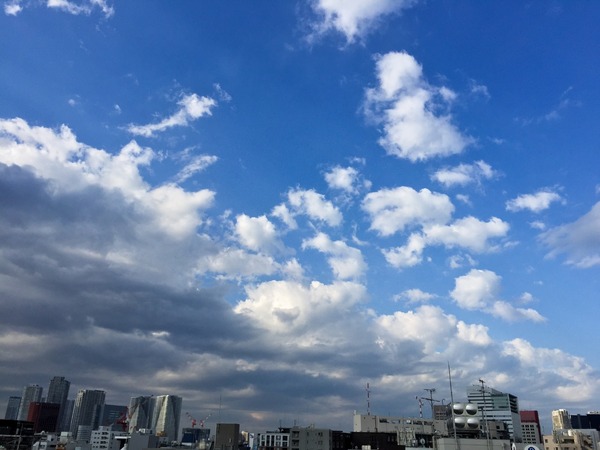 ブラックトイプードル銀座リリードナ029