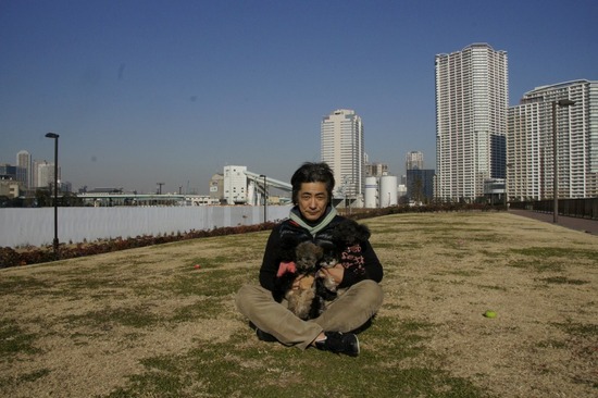 銀座トイプードルリリーas know as de wan90