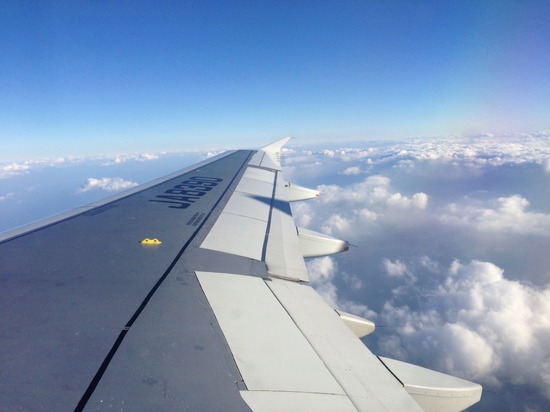 銀座トイプードルリリーas know as de wan15