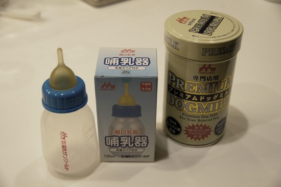 as know as de wanとトイプードルブラックの銀座リリー00