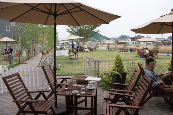 トイプードル銀座リリー＆ドナ43