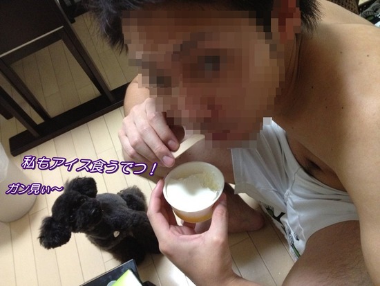 as know as de wanとトイプードルブラックの銀座リリー36