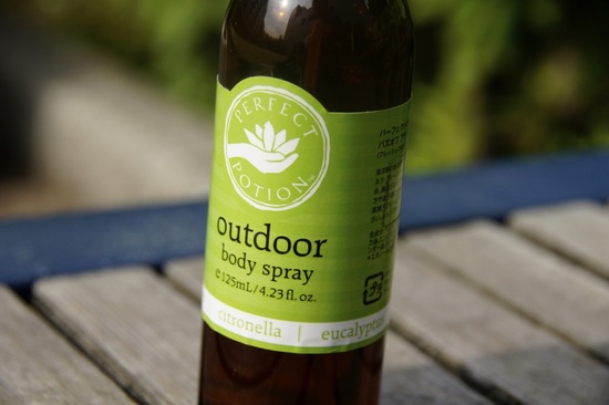 as know as de wan_銀座リリー_トイプードル08