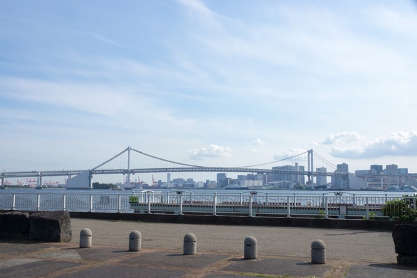 銀座トイプードル_リリードナ18