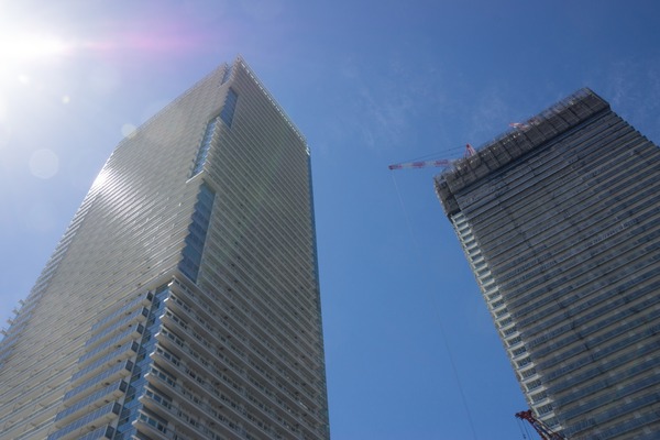 ブラックトイプードル銀座リリードナ00044