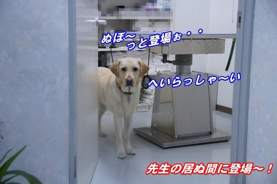 0e91d620.jpg