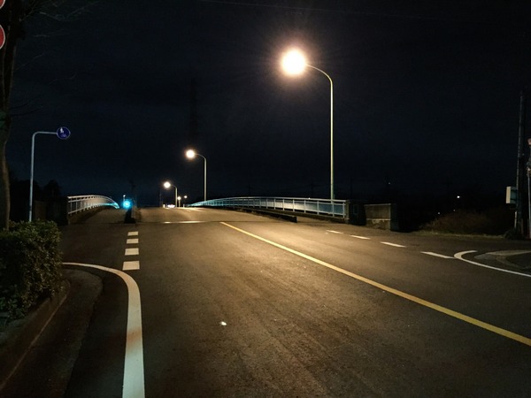 ブラックトイプードル銀座リリードナ015