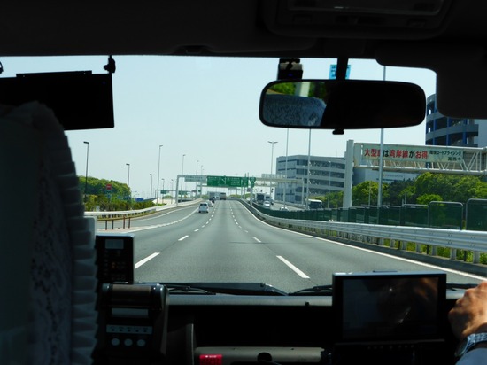 506 銀座ブラックのトイプードルリリーとドナas know as de wan01