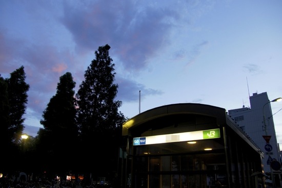 トイプードル銀座リリーとas know as de wan02 (4)