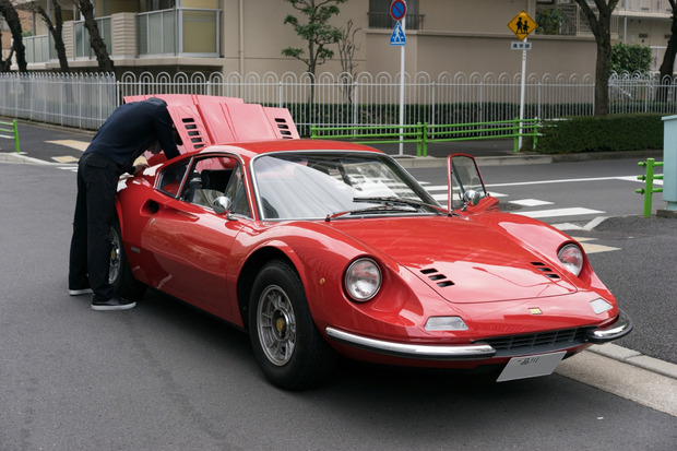 20160203ブラックトイプードル銀座リリードナ02