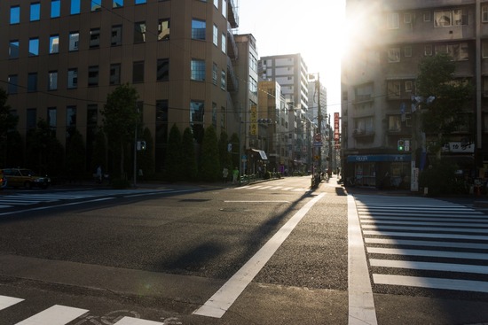 トイプードル銀座リリー＆ドナ103