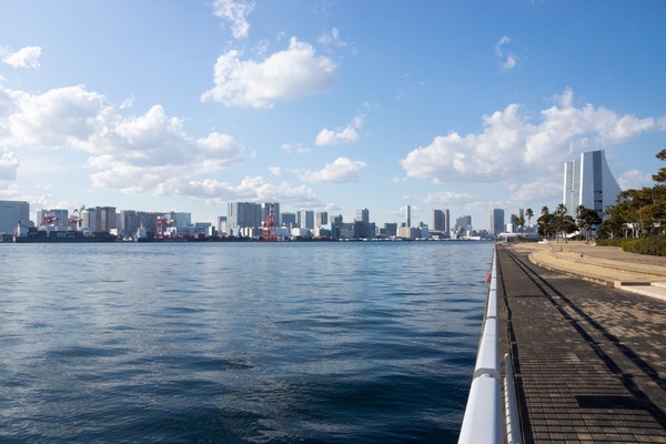 トイプードル銀座リリー026