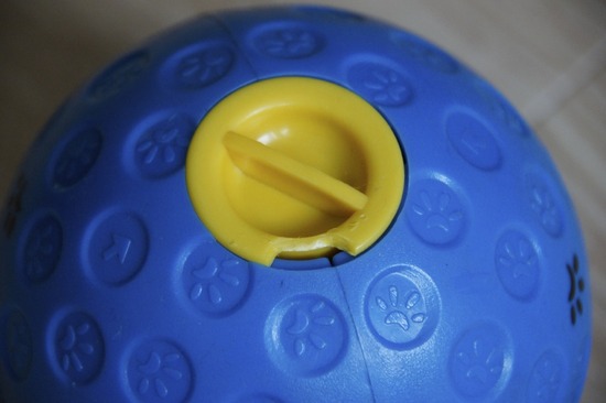 トイプードル銀座リリーasknowasdewan03