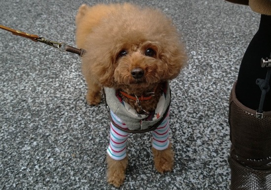 WP_20140105_15_14_58_Pro