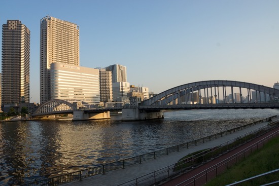 トイプードル銀座リリー＆ドナ118