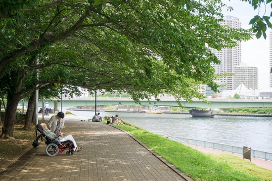 ニャンバーワン,銀座トイプードル,リリーとドナ,asknowasdewan054