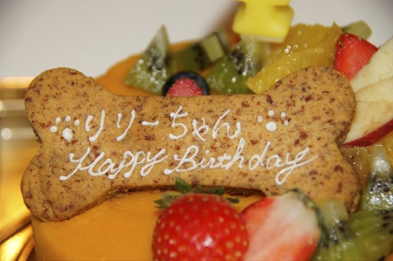 as know as de wanとトイプードルブラックの銀座リリー18