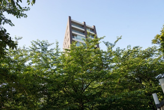 トイプードル銀座リリー＆ドナ102