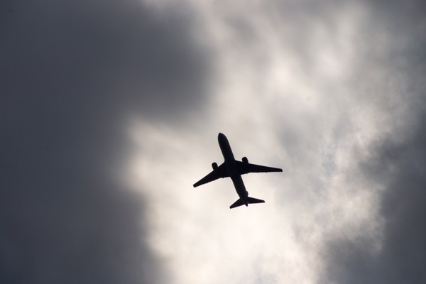 ブラックトイプードル銀座リリードナ038