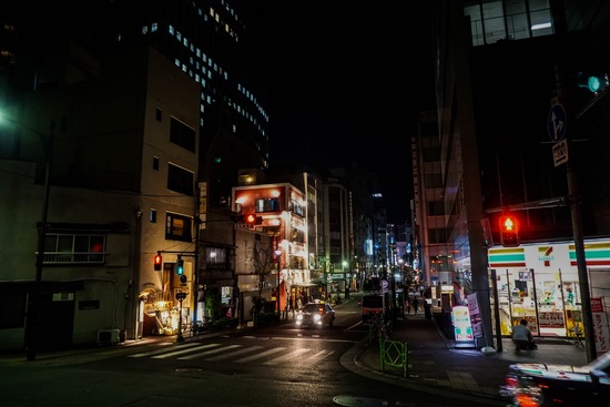 ニャンバーワン,銀座トイプードル,リリーとドナ,asknowasdewan023