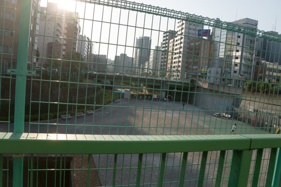 トイプードル銀座リリー＆ドナ105