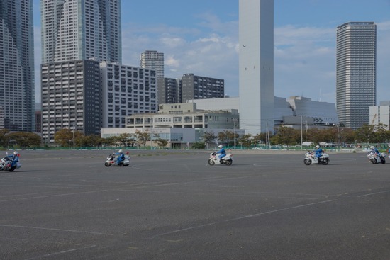 ブログRosieトイプードル銀座リリーとドナas know as de wan22