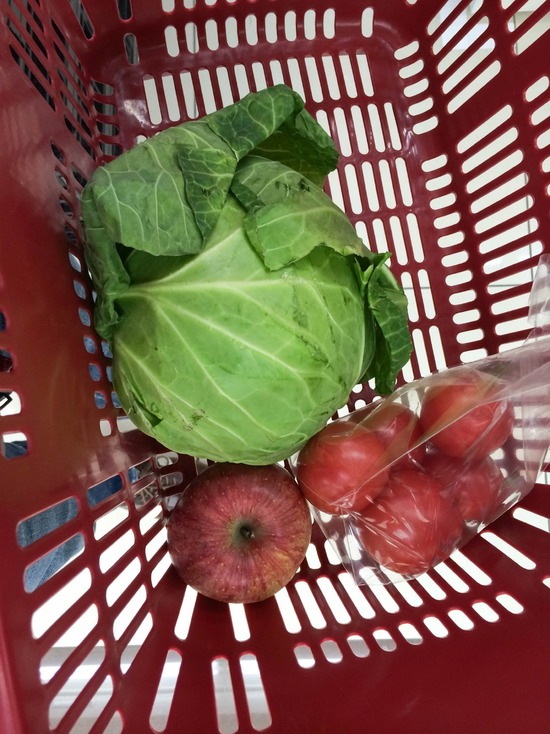 銀座トイプードル,リリーとドナ,as know as de wan135