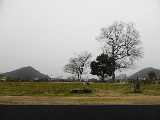 銀座トイプードルリリーとドナas know as de wan08